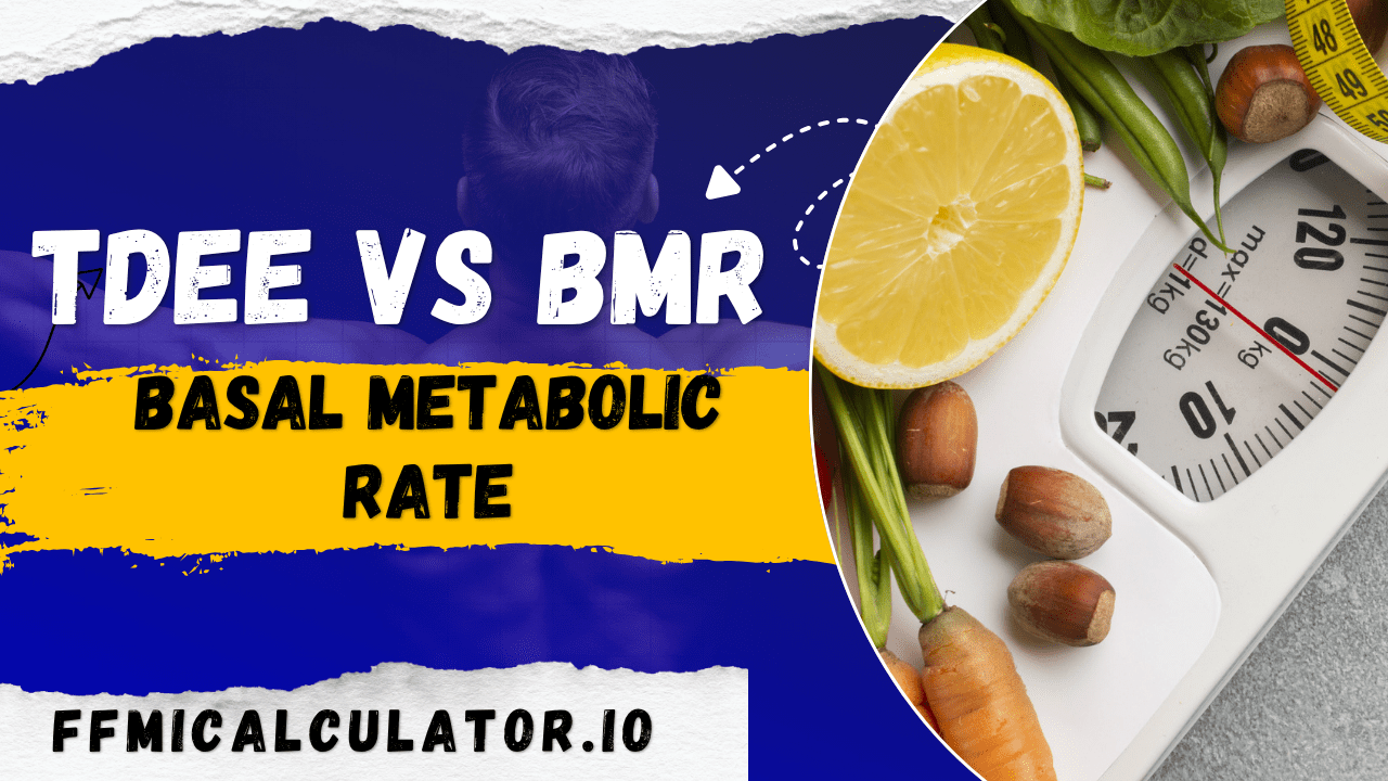 TDEE vs BMR — Know Your True Daily Calorie Burn